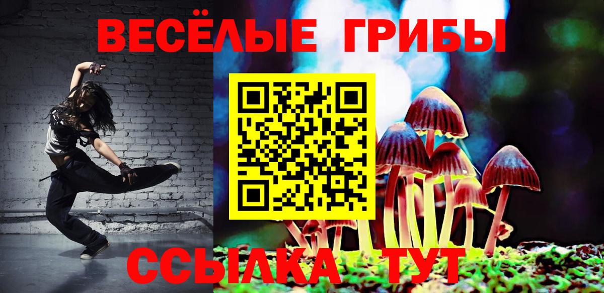 купить  сайты  Псилоцибиновые грибы Psilocybe  Вход с VPN  Ишим 