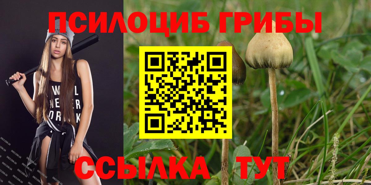 Галлюциногенные грибы ЛСД Ишим